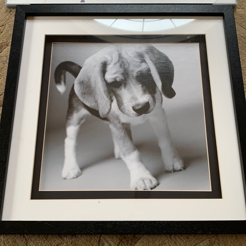 Photos, framed and ready to hang